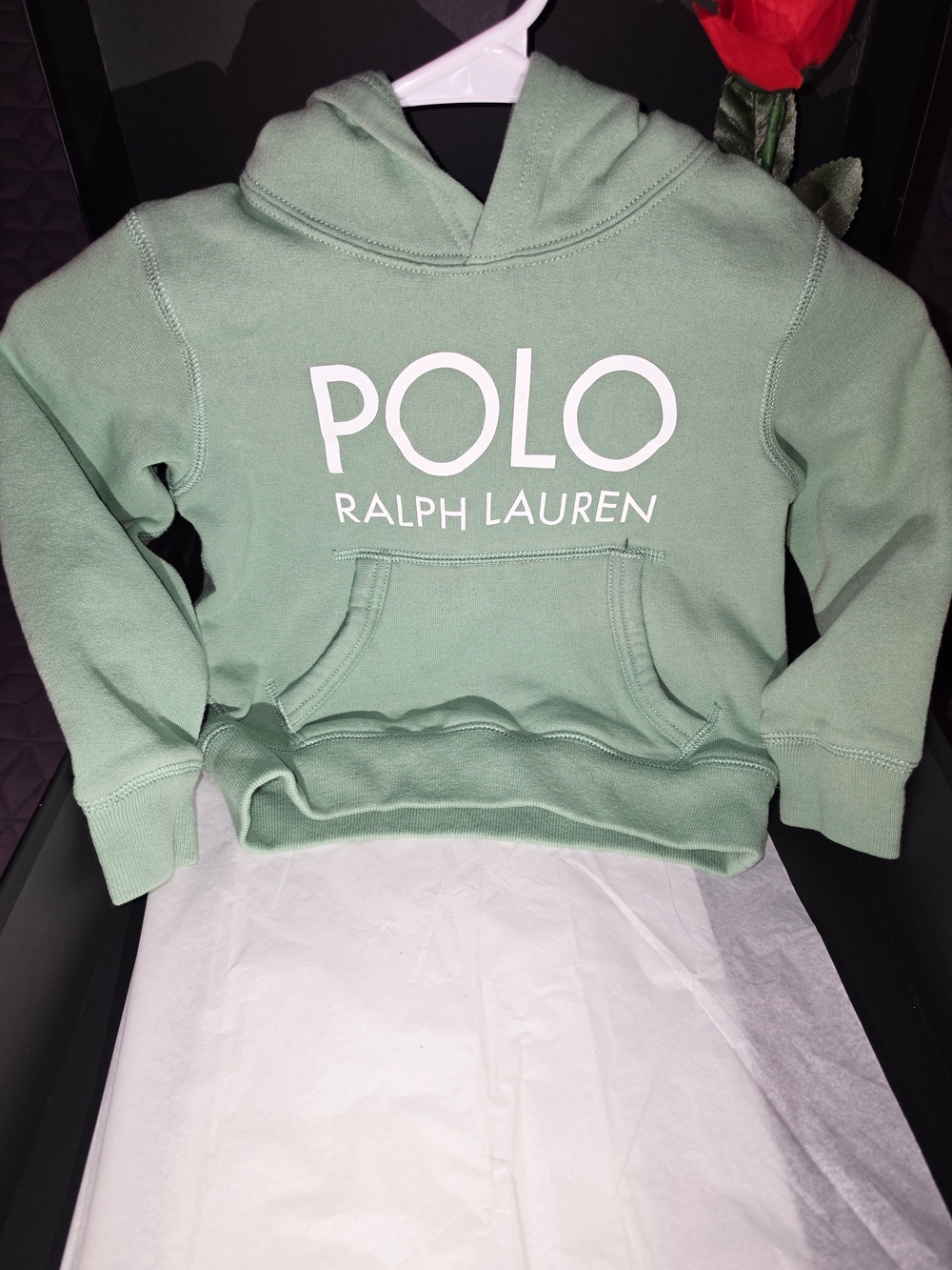 Polo by Ralph Lauren Kids Pastel Mint Green Logo Hoodie
